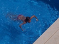 /album/fotogalerie-apartmani-flora/b-bazen-foto4-jpg/